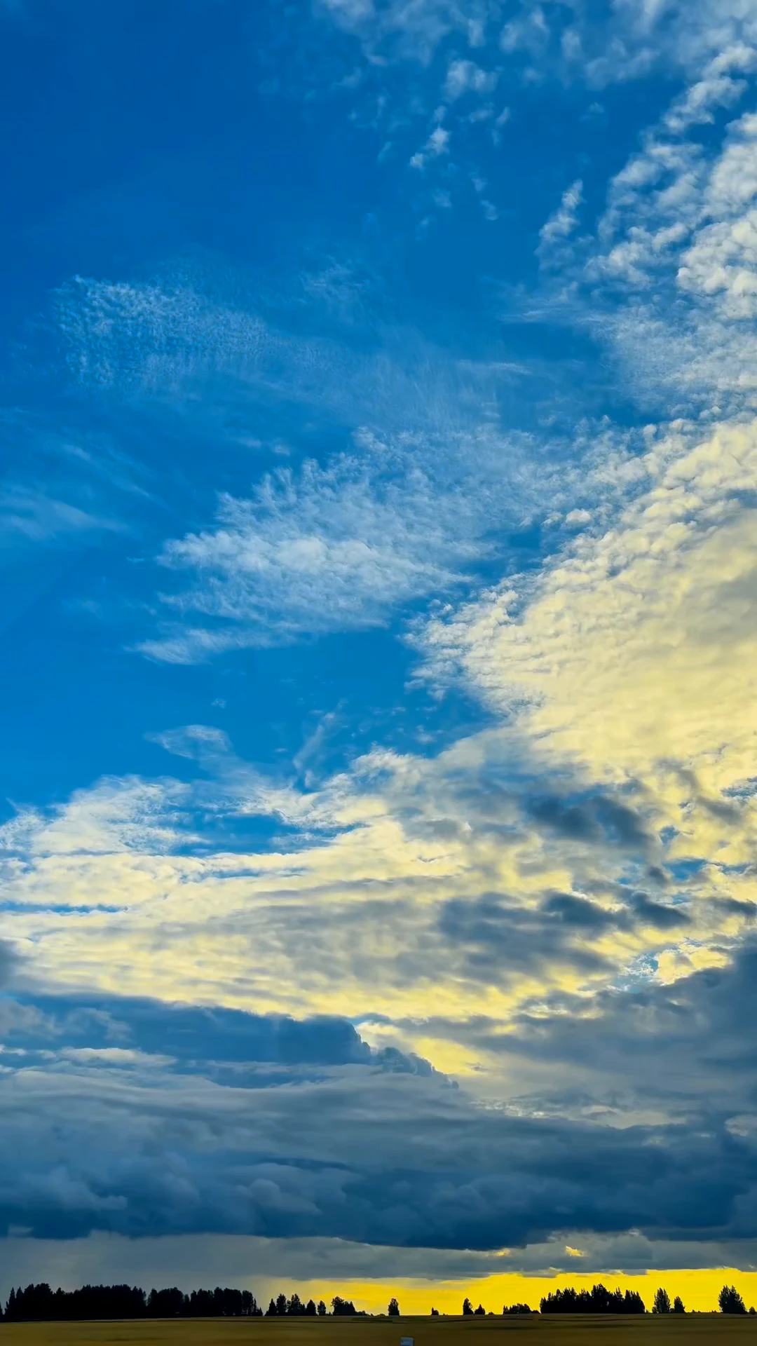 🌤️