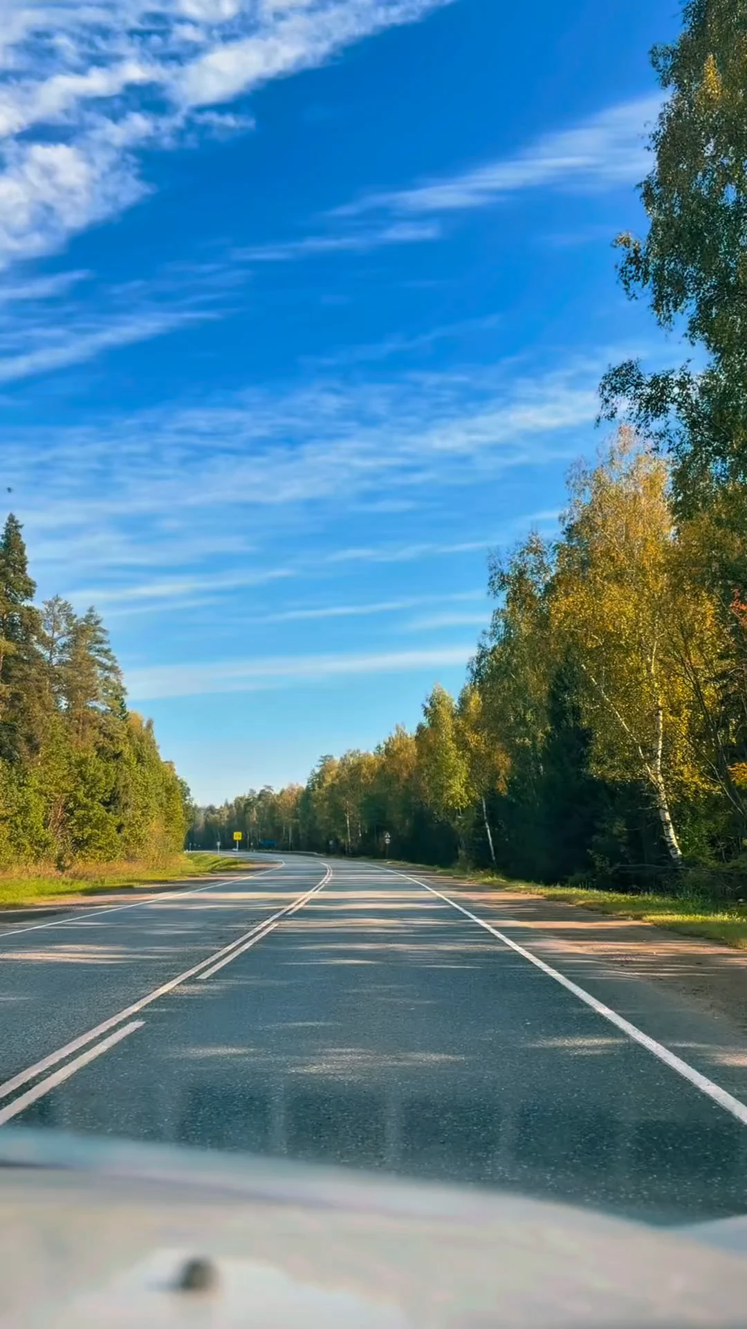 Осень 🍂